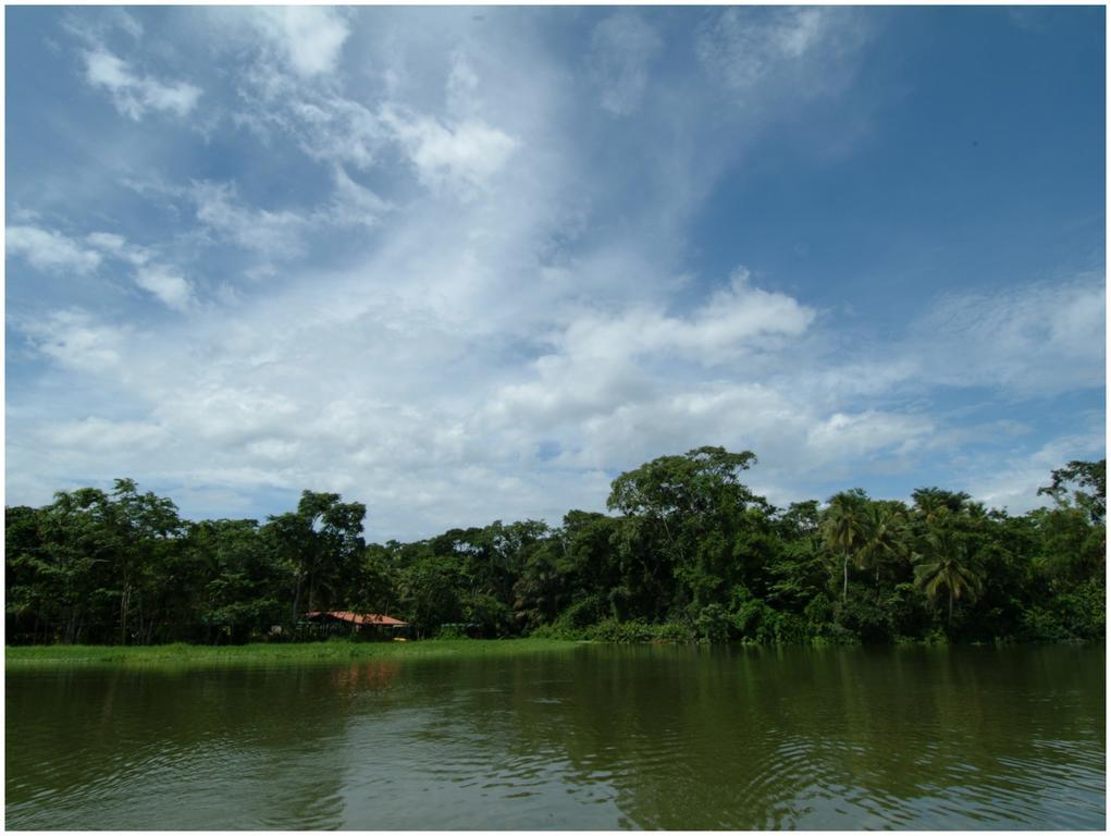 Lirio Lodge Barra de Pacuare Bagian luar foto