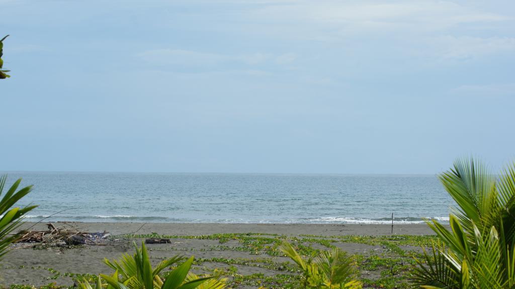 Lirio Lodge Barra de Pacuare Bagian luar foto