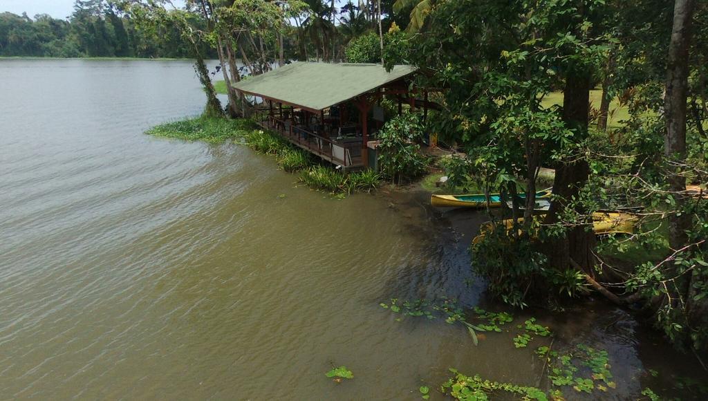 Lirio Lodge Barra de Pacuare Bagian luar foto