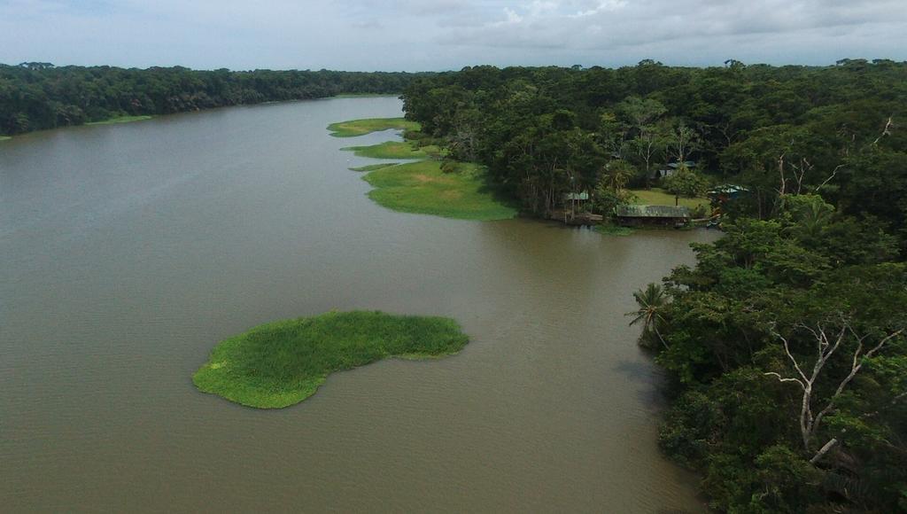Lirio Lodge Barra de Pacuare Bagian luar foto