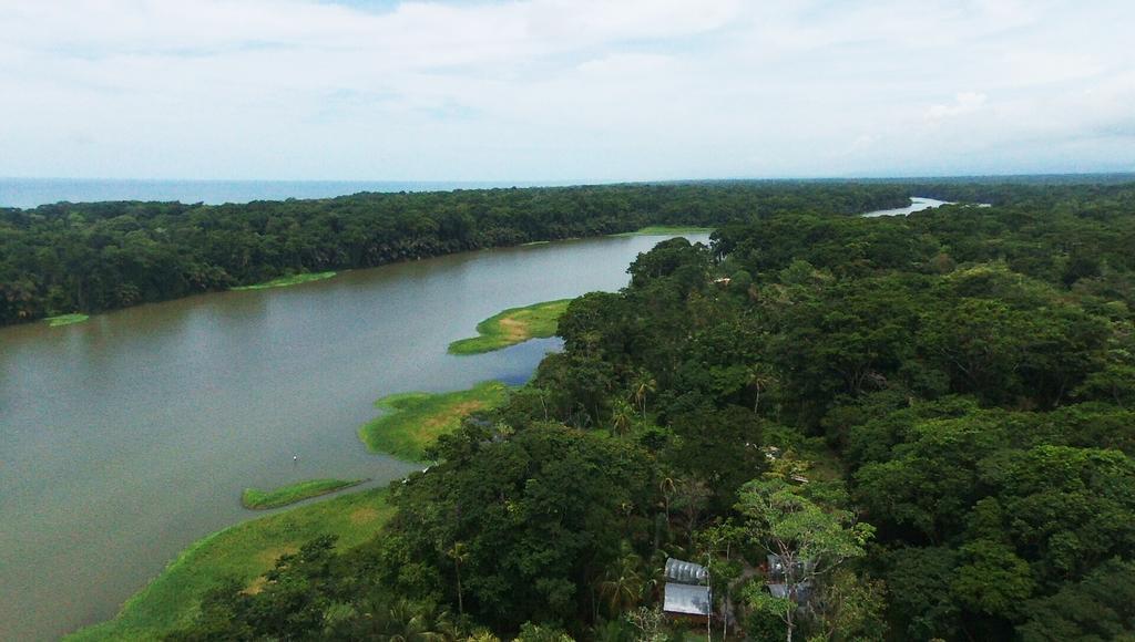 Lirio Lodge Barra de Pacuare Bagian luar foto