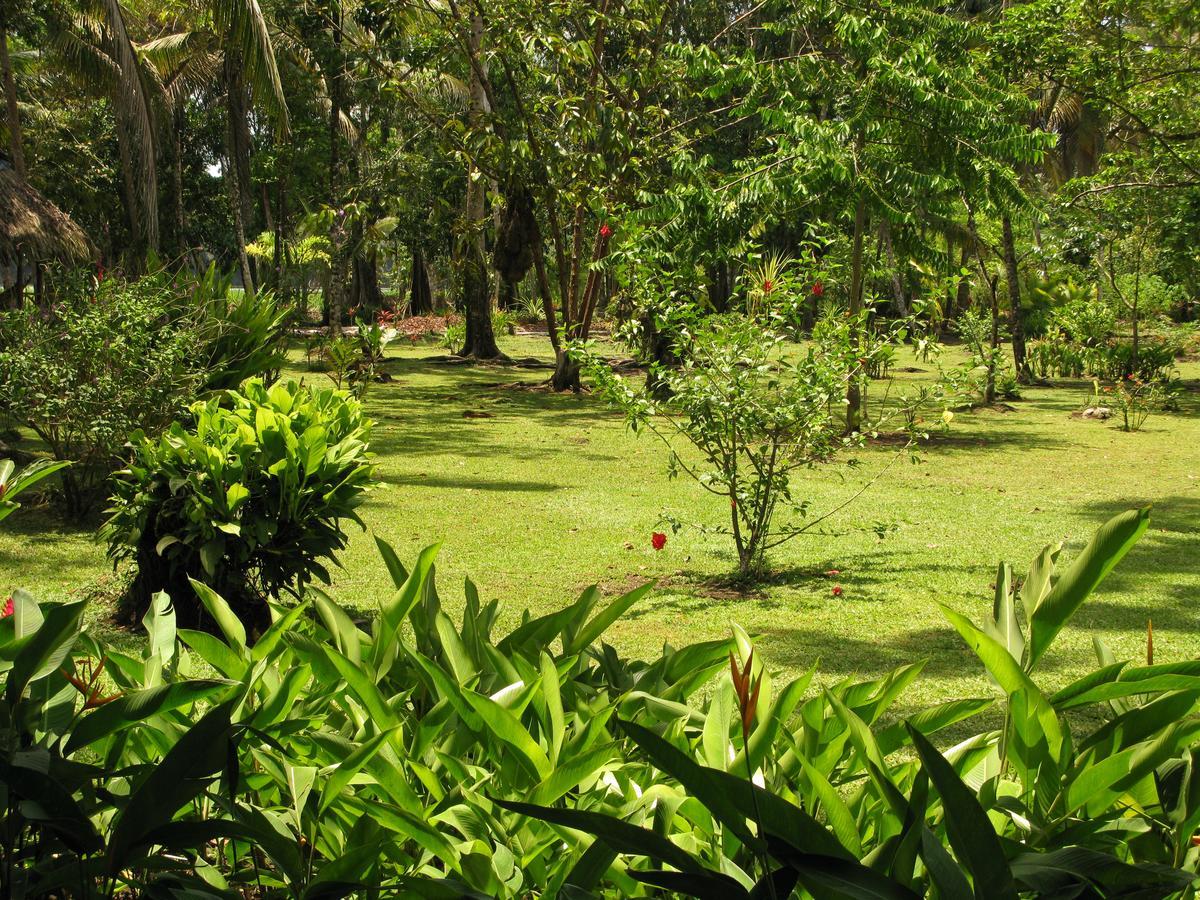 Lirio Lodge Barra de Pacuare Bagian luar foto