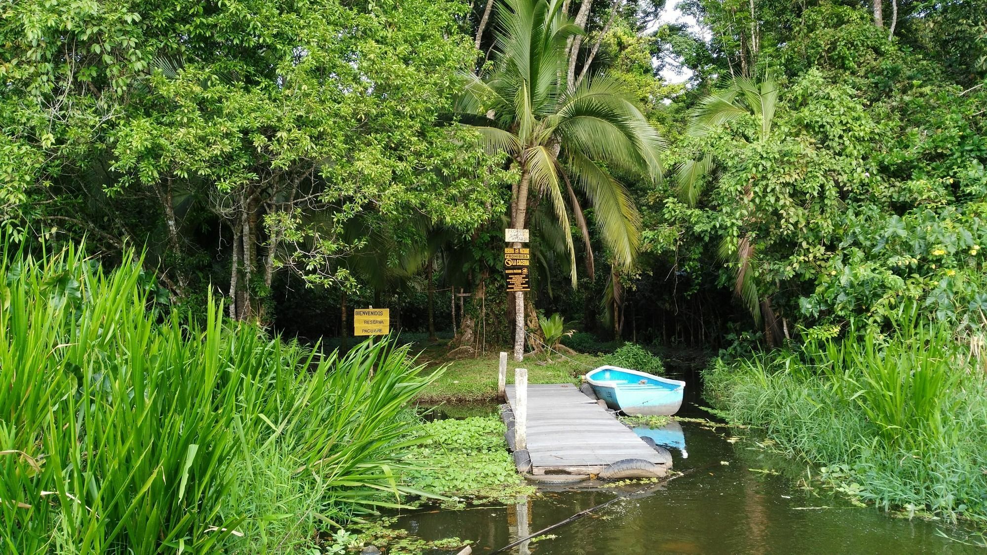 Lirio Lodge Barra de Pacuare Bagian luar foto