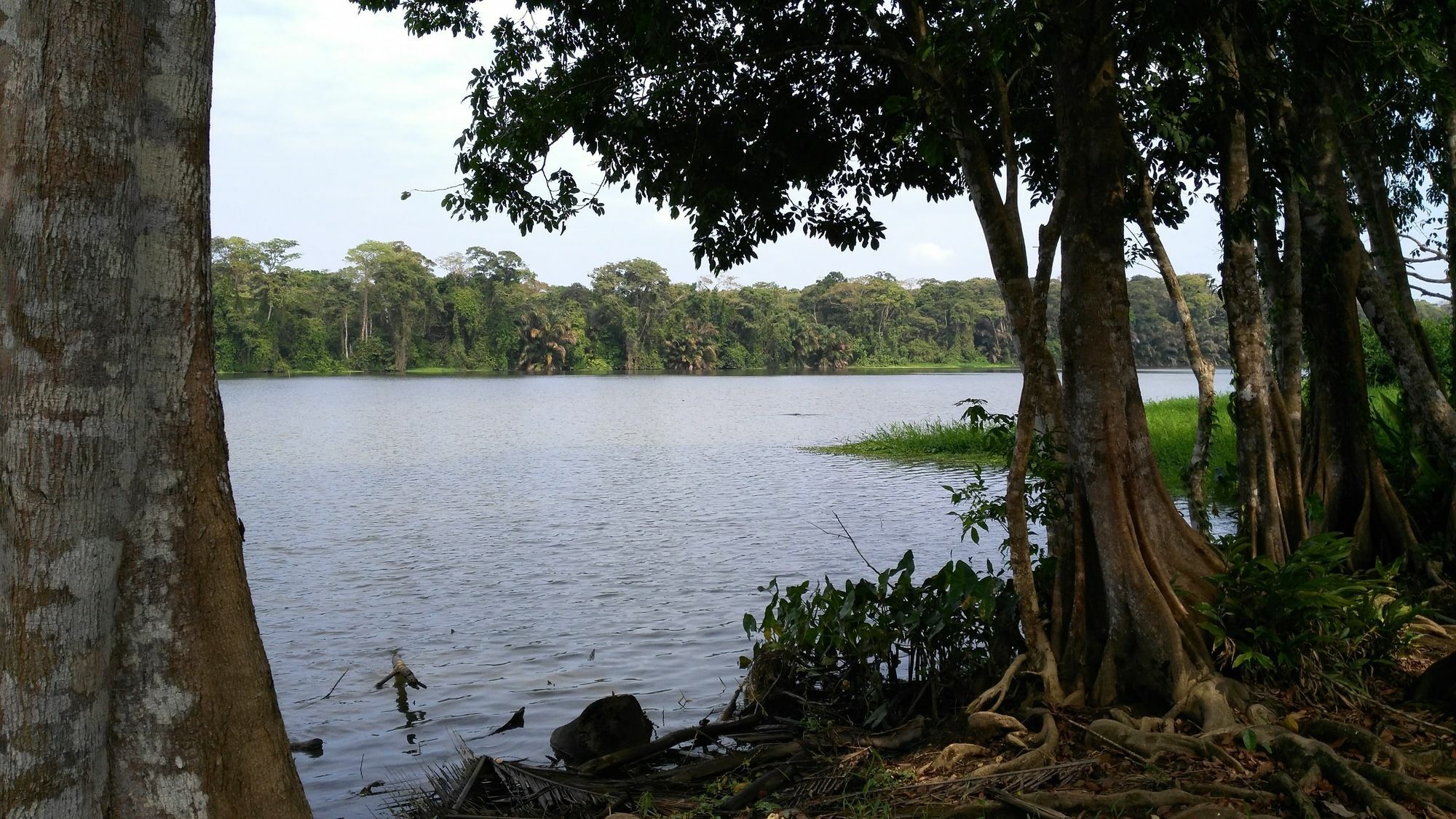 Lirio Lodge Barra de Pacuare Bagian luar foto