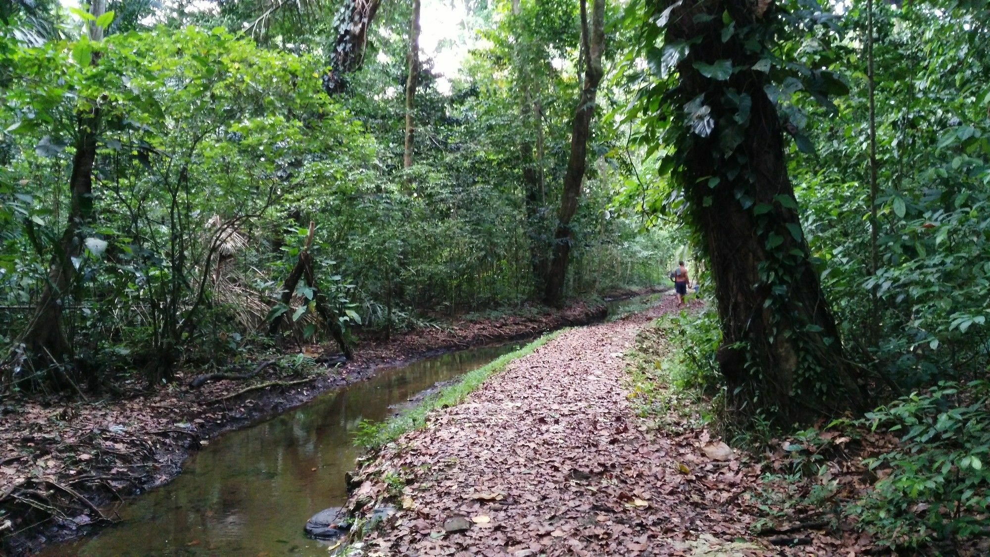 Lirio Lodge Barra de Pacuare Bagian luar foto