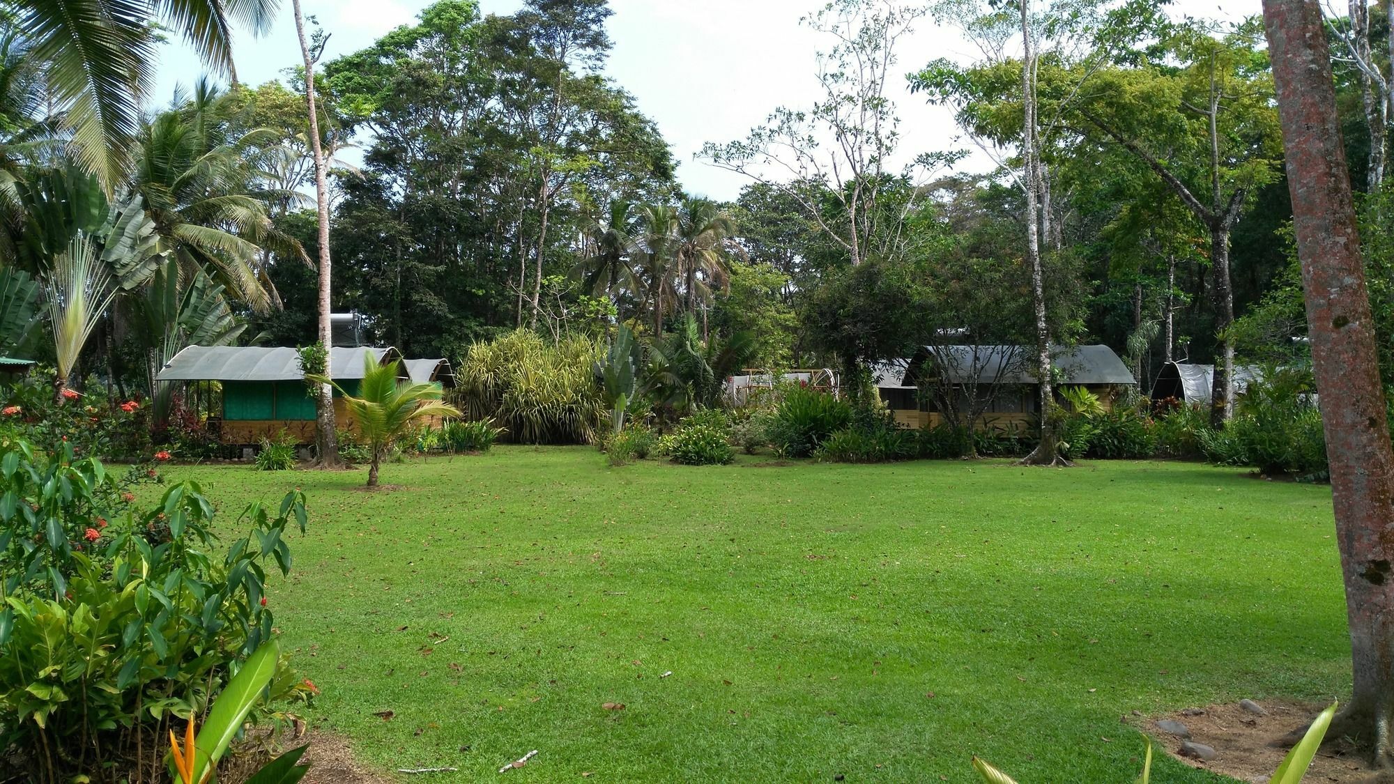 Lirio Lodge Barra de Pacuare Bagian luar foto