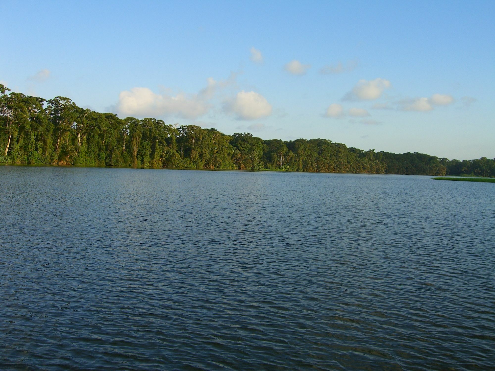 Lirio Lodge Barra de Pacuare Bagian luar foto
