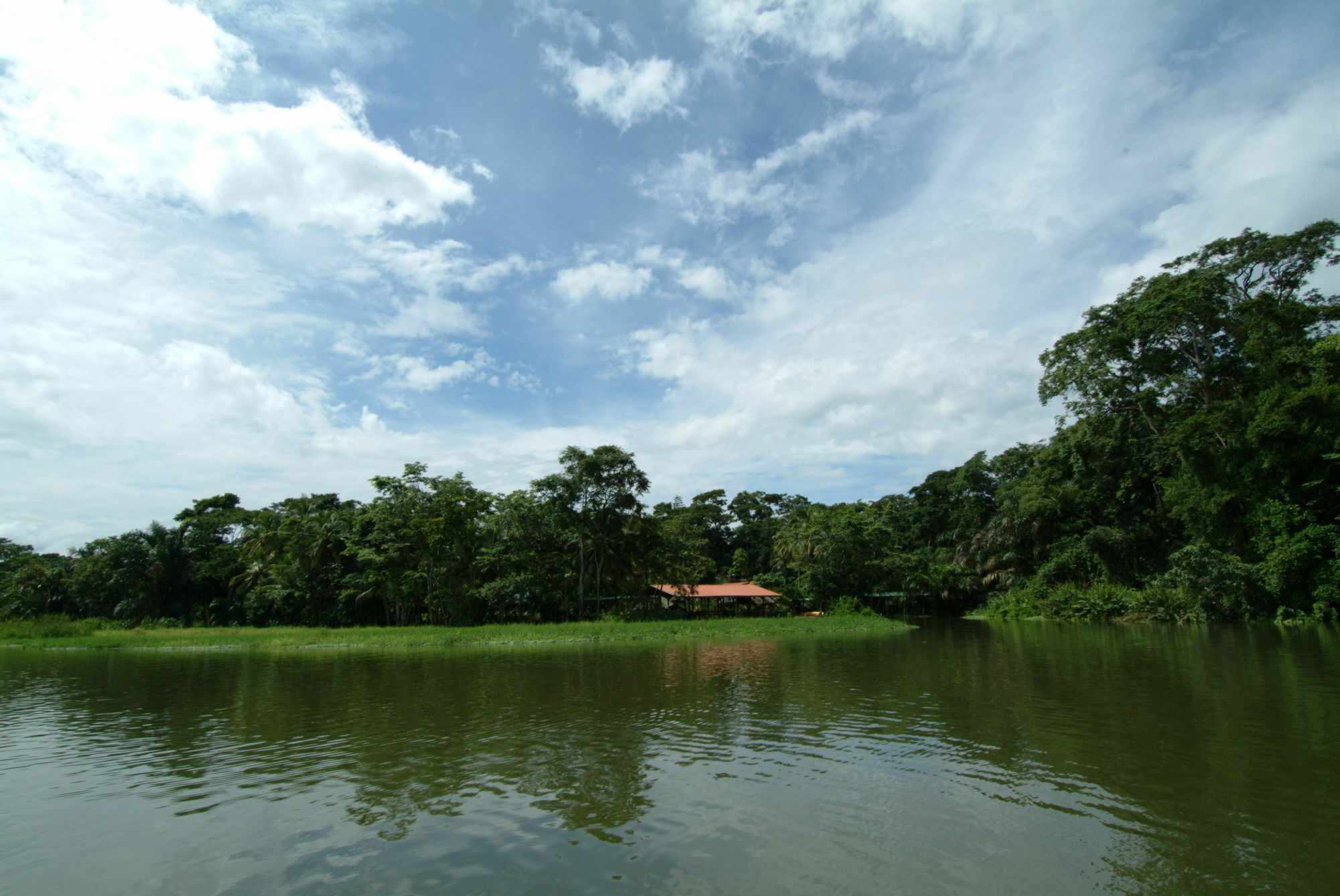 Lirio Lodge Barra de Pacuare Bagian luar foto