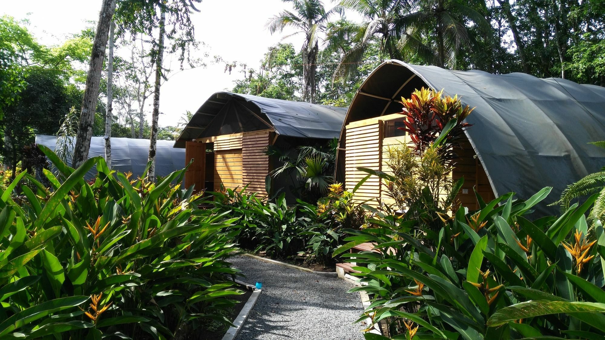 Lirio Lodge Barra de Pacuare Bagian luar foto