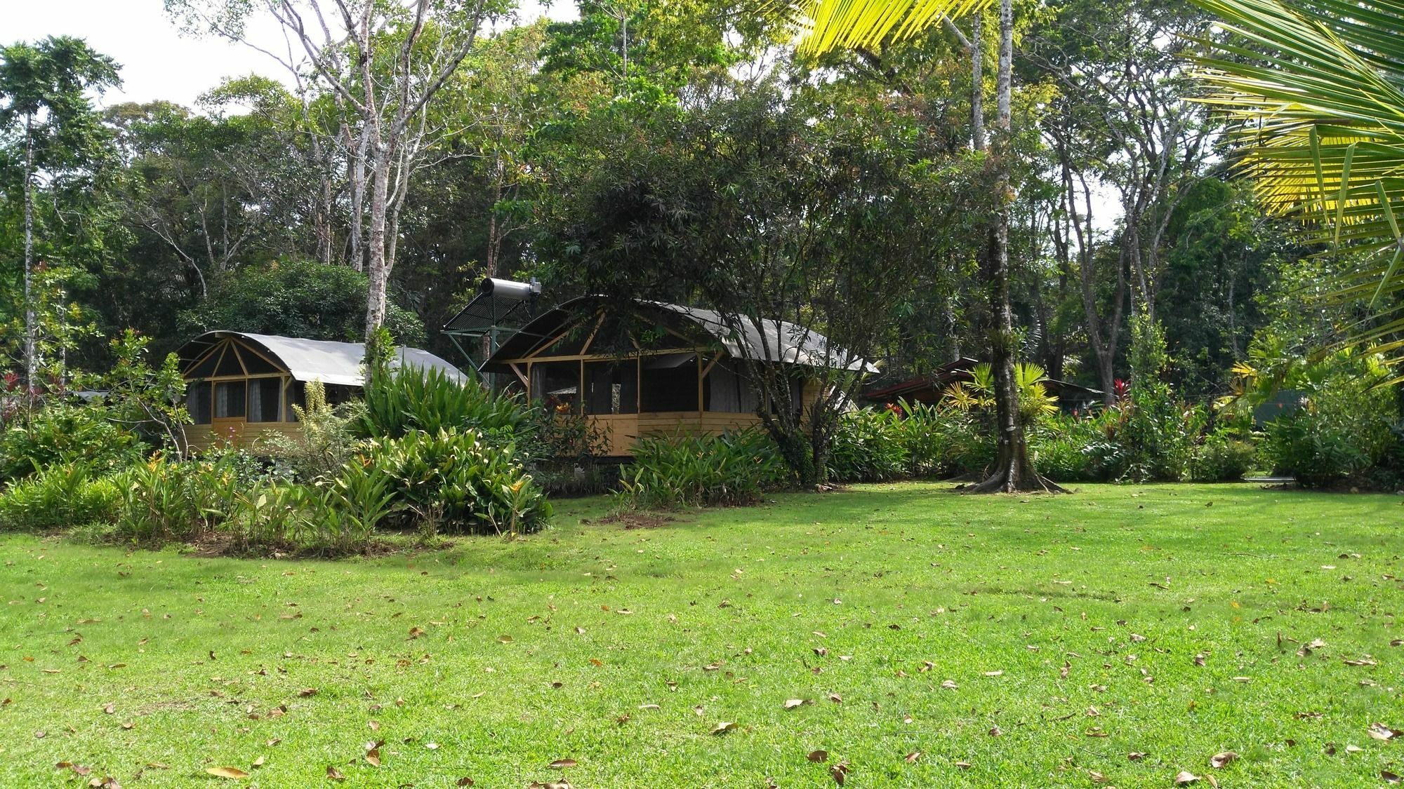 Lirio Lodge Barra de Pacuare Bagian luar foto