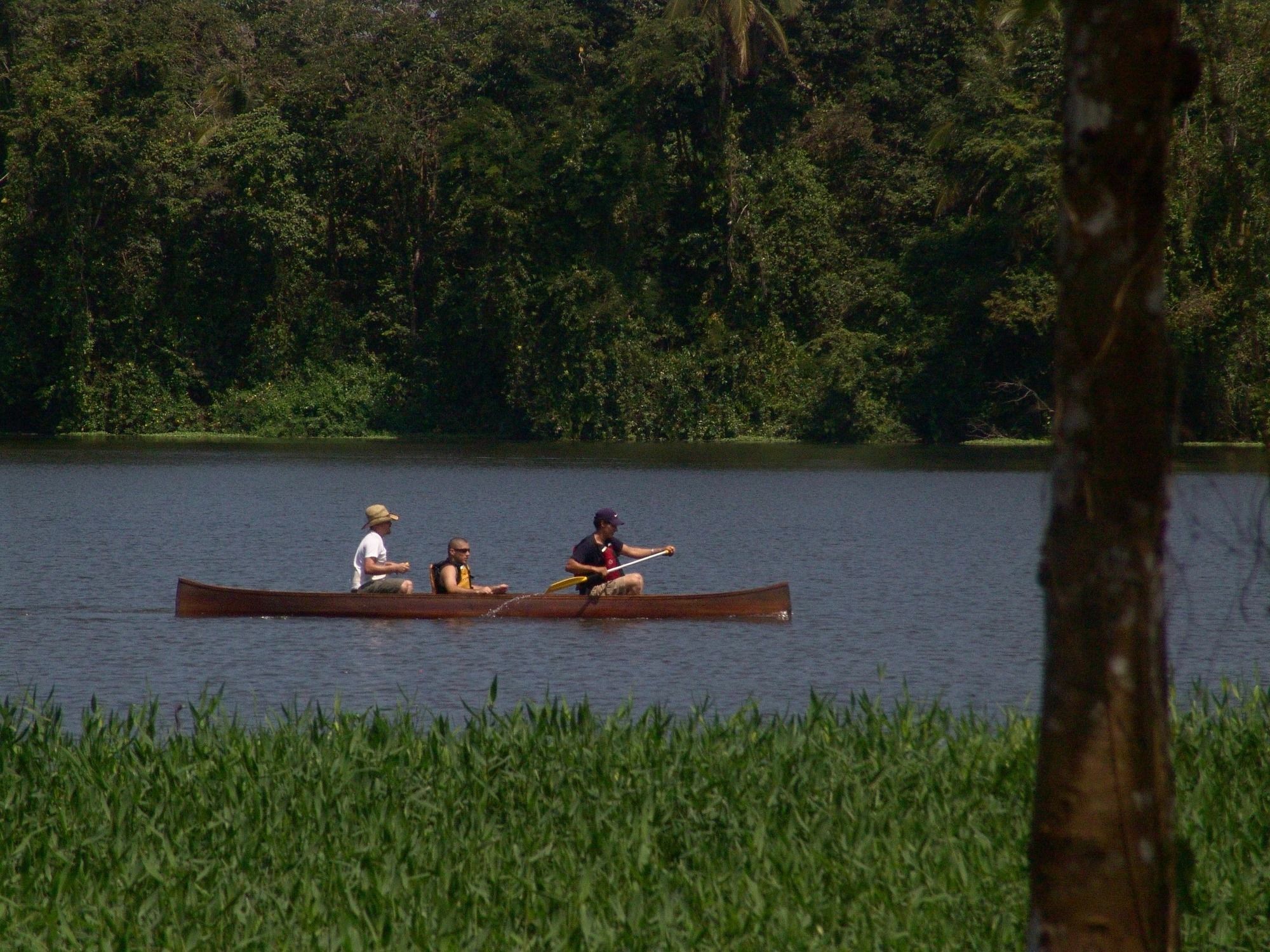 Lirio Lodge Barra de Pacuare Bagian luar foto