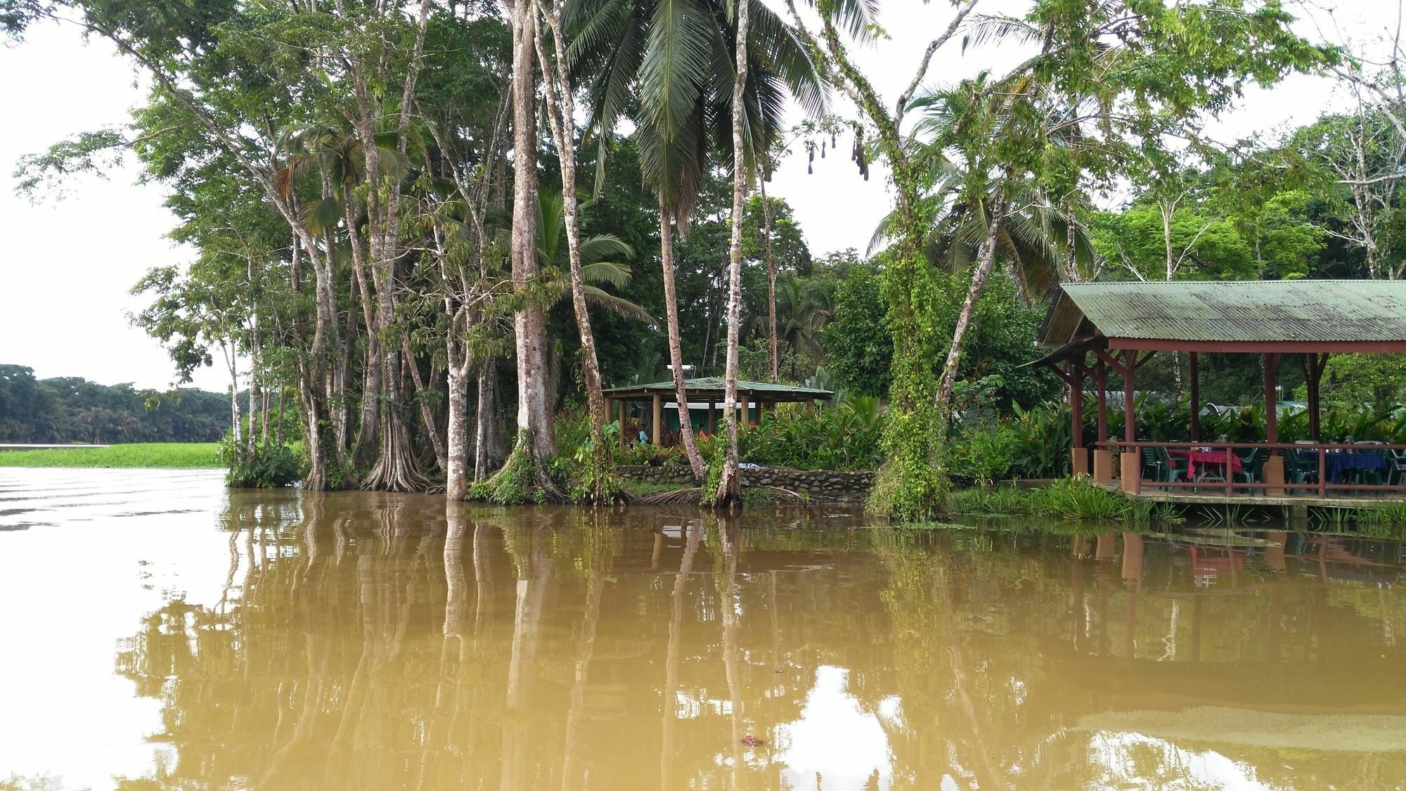 Lirio Lodge Barra de Pacuare Bagian luar foto
