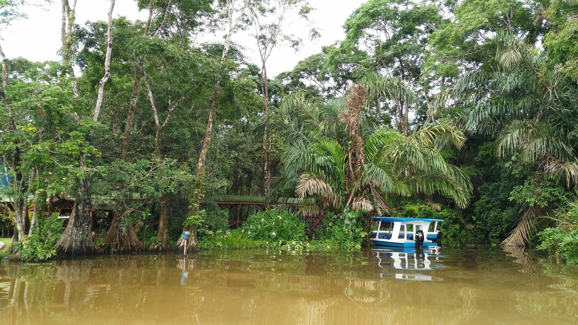 Lirio Lodge Barra de Pacuare Bagian luar foto