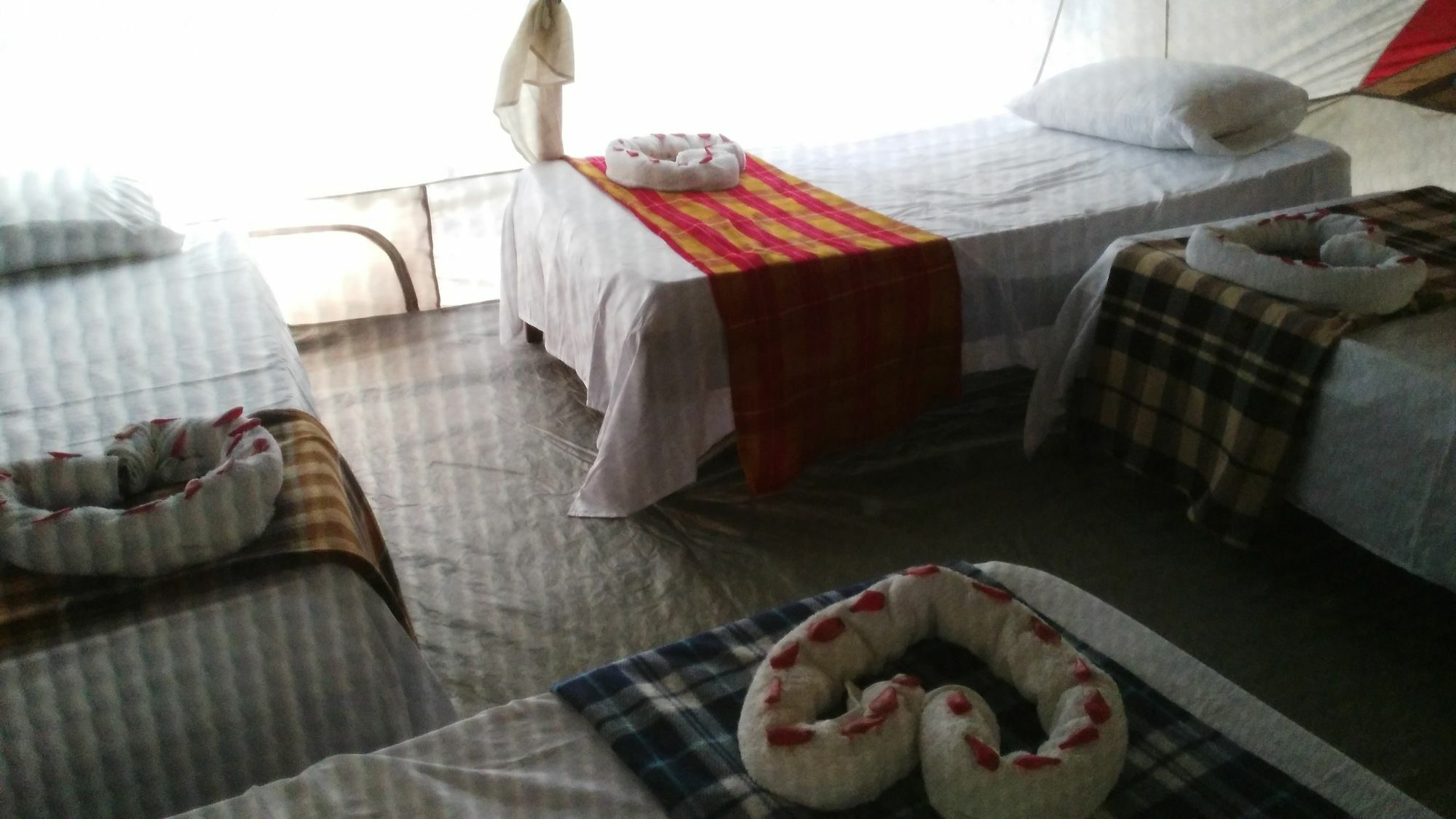 Lirio Lodge Barra de Pacuare Bagian luar foto
