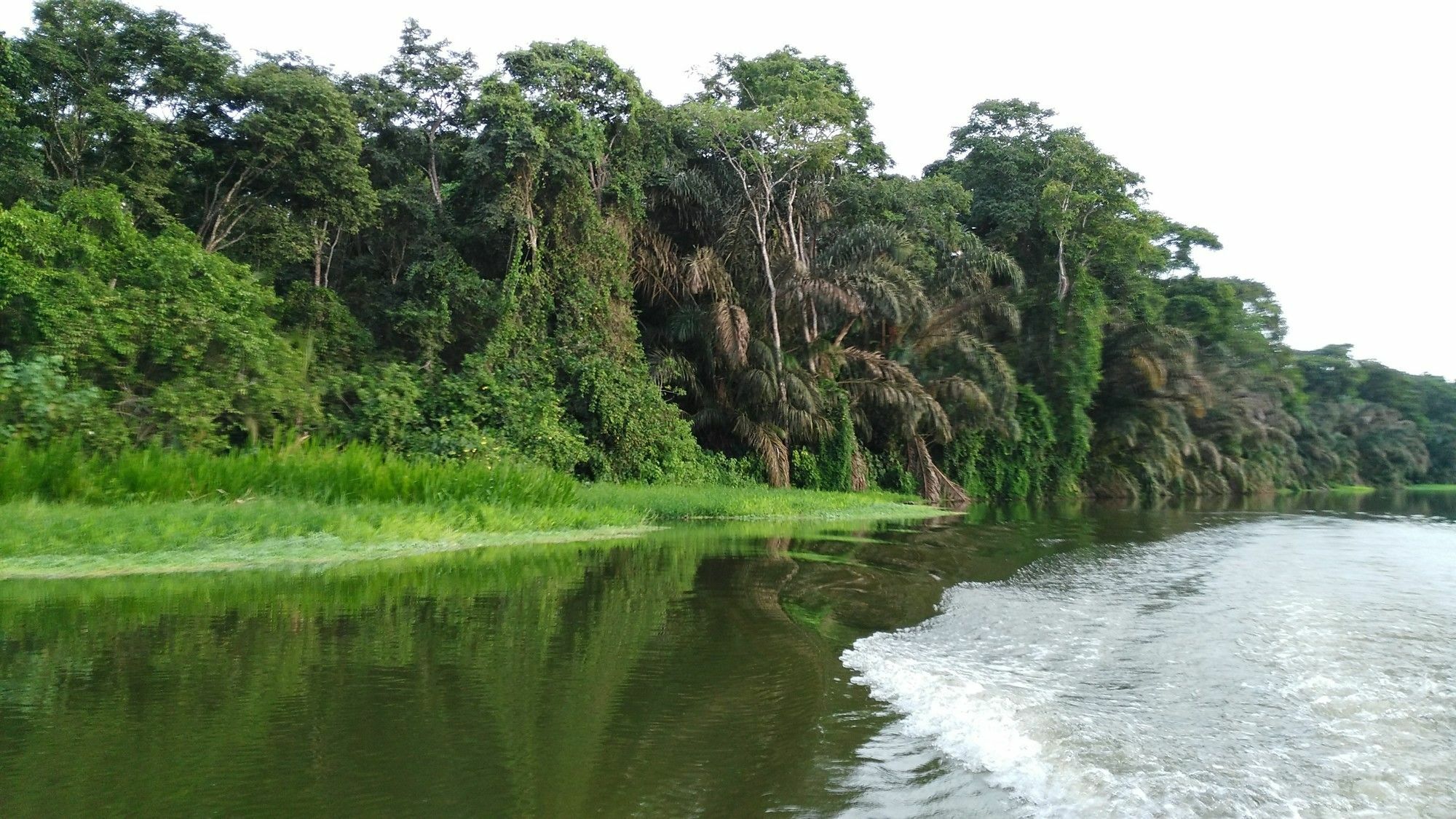 Lirio Lodge Barra de Pacuare Bagian luar foto